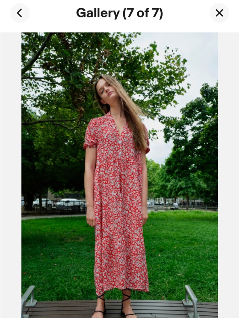 Zara Red Floral V-Neck Maxi Dress